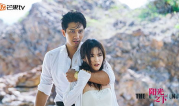 阳光之下电视剧,探寻真相与正义的较量