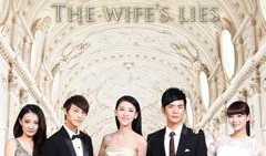 电视剧妻子的谎言,揭秘婚姻背后的真相与抉择