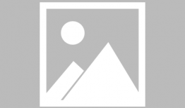 陈小艺电视剧,演绎人生百态，诠释情感深度